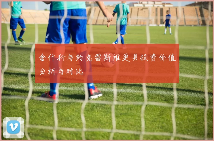 舍什科与约克雷斯谁更具投资价值分析与对比
