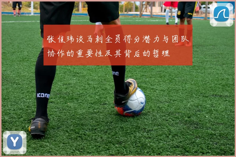 张佳玮谈马刺全员得分潜力与团队协作的重要性及其背后的哲理